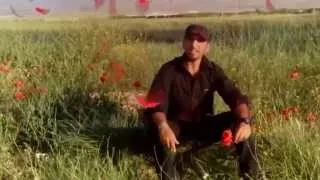 Sham Abra9e شم أبرق 