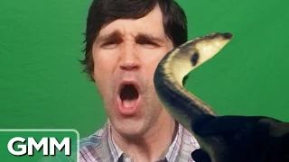 Eel Slap to the Face