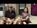 Rescue a cavalier and provide a loving home