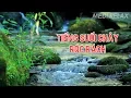 Download Lagu Nhạc Tiếng Suối Chảy Róc Rách, Nhạc Thư Giãn Không Lời, Giúp Tập Trung Làm Việc, Học Tập Hiệu Quả