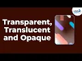 Transparent Objects Opaque Objects and Translucent Objects Don t Memorise
