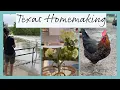 Download Lagu Alledaagse huishoudelijke taken | Overstromingen in Texas + Kippen + Eenvoudig recept voor een zo...