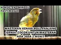 Download Lagu KENARI GACOR, NGEROL PANJANG JERNIH JEDA 2 MENIT
