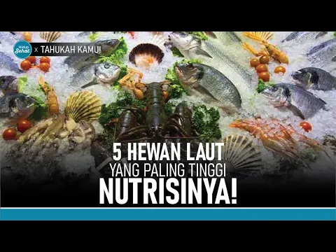 Wajib Coba! 5 Hewan dan Ikan Laut yang Tinggi Nutrisi