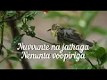 Download Lagu nuvvunte na jathaga female version song || Dream lyrics|| I manoharudu