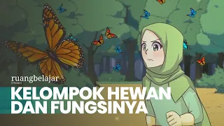 Download Kelompok Hewan dan Fungsinya: Insekta | Belajar Matematika Bersama Dafa dan Lulu - 4 SD MP3