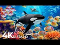 Download Lagu Amazing 4K Ocean Adventure 🐳 Dive Deep and Marvel at Sea Animal in The Best 4K ULTRA HD Aquarium #38