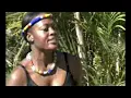 Download Lagu Dr General Muzka  - Daimani (Official Music Video) #subscribe #subscribe #subscribe #subscribe