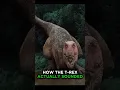 Real Sound Of T-Rex Roar — It’s Terrifying