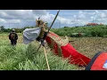 Download Lagu JANGGAN PELASA KUTA TERBESAR DI BIAUNG KITE FESTIVAL 2025