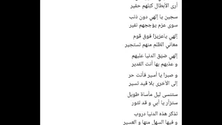                 إلهي قد بكيت دما عليهم ناصر السعيد دندنها