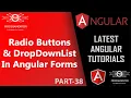 38 Radio Buttons Drop Down List In Angular Forms Template Driven Forms Angular