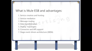 MuleSoft Mule ESB Training DEMO www trainingsupports com