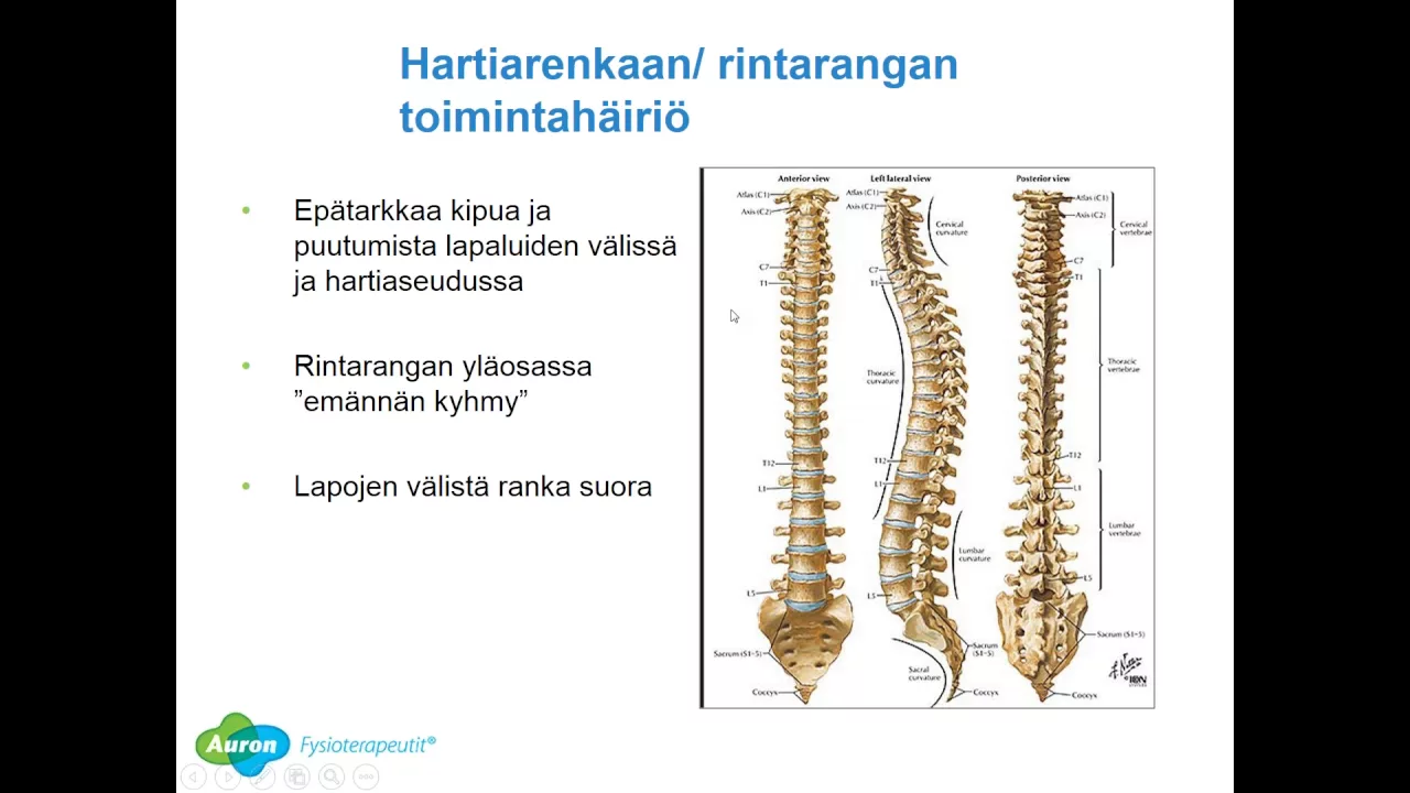 Suomen Kiropraktikkokeskus: Anne ja Huimaus