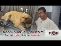 BATHING A GOLDEN DOG BEFORE TRAINING AT FLOKI DOG ACADEMY