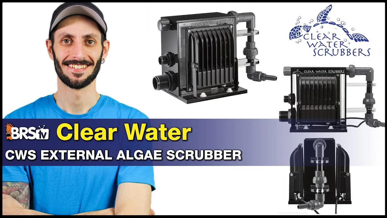 CWS Clear Water Algae Turf Scrubbers : Do algae turf scrubbers work? This one does!