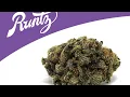 Runtz Strain Review