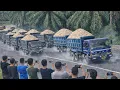 Lagu Jalan Sunyi Mendadak Jadi Sorotan Saat Truck-Truck  Ini Melintas #viral #truck 