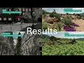 Common Subtree Merging Compressed Opacity Micromaps