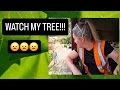 Download Lagu NOT WHAT I NEEDED ON A FRIDAY 🚛🌳🙄