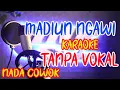 terminal madiun ngawi karaoke koplo tanpa vokal cowok