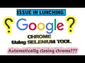 Issue In Lunching Google Chrome Browser using Selenium Automatically Chrome exiting solved