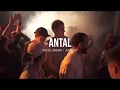 Download Lagu Antal Boiler Room x Budweiser Rio