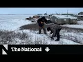Lagu The Arctic community falling into the ocean | Tuktoyaktuk, N.W.T.