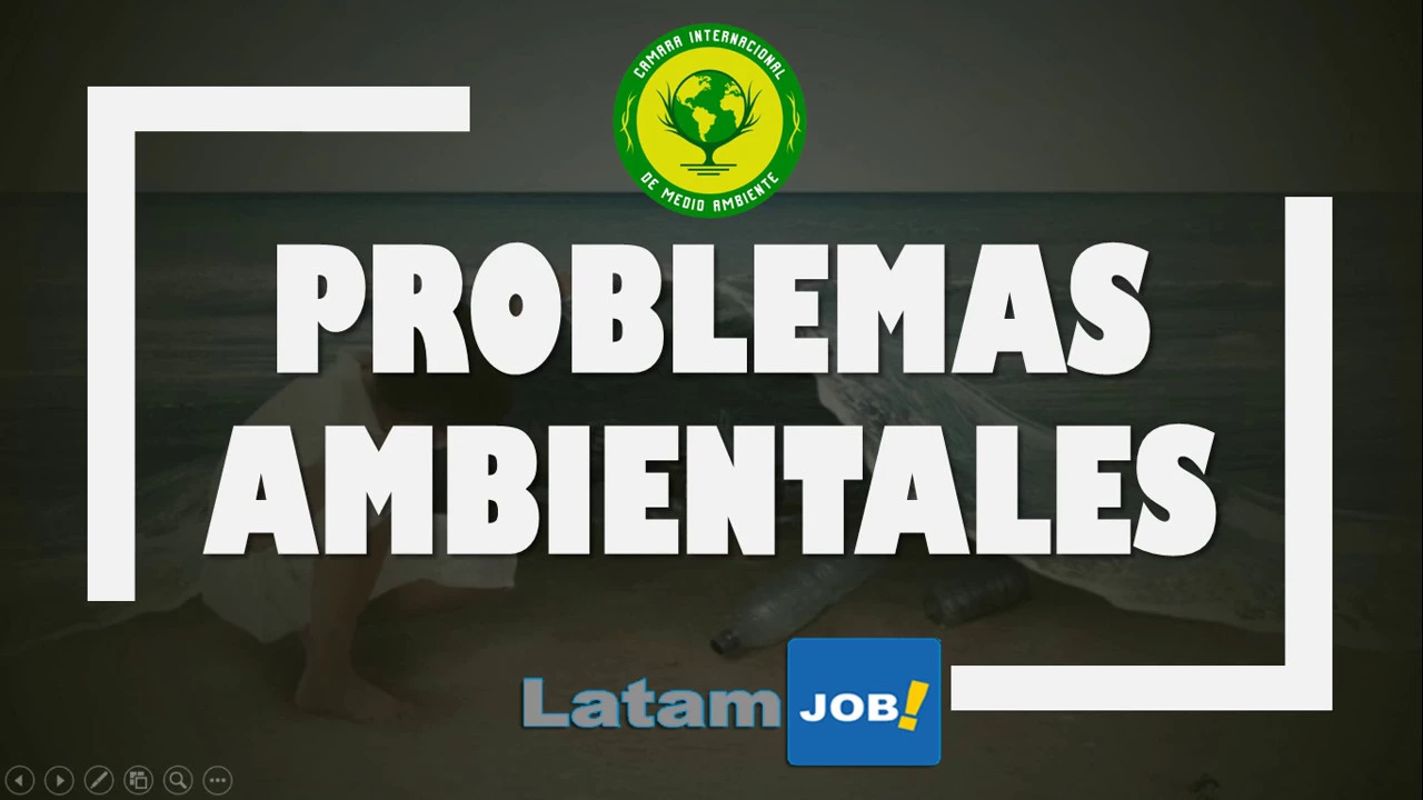 Problemas Ambientales