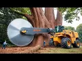 Download Lagu Extreme Dangerous Fastest Big Chainsaw Cutting Tree Machines | Monster Stump Removal Excavator #59
