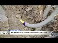 Trust Index Is gas line protection pitched from Centerpoint necessary