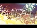 [Deemo] Magnolia / Myosotis / Marigold - Piano Cover