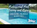 Professional Pool Cleaning and Repairs