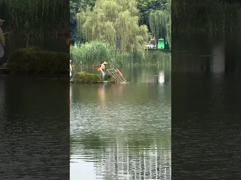 Sanitation workers in Chinese cities use a device to clear overgrown aquatic plants.
