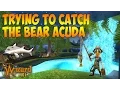 Wizard101 Trying To Catch The Bear Acuda
