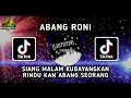 DJ SIANG MALAM KUBAYANGKAN - ABANG RONI MIX TERBARU
