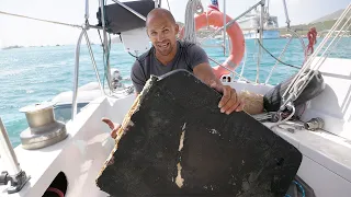 WE HIT A WHALE !?! (what happened to our centerboard)