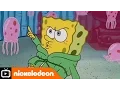 Download Lagu SpongeBob SquarePants | Disco Jellyfish | Nickelodeon UK
