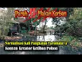 Download Lagu MAKAN KORBAN‼️Kontent Kreator Ketiban Pohon❗Kali Pangkalan Tarumajaya Di Normalisasi