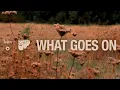The Beatles - What Goes On - 2026 Mix (Visualiser) - The Beatles