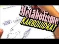 Download Lagu bagaimana  metabolisme karbohidrat menjadi karbohidrat secara biokimia ?