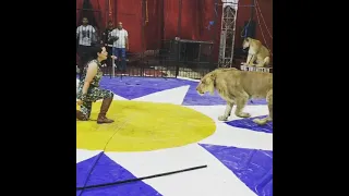 بلو سيرك العوام بمرسى مطروح صيف     مدربه الاسود و النمور العالميه أوسه الحلو دندنها