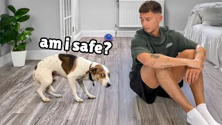 She Was Too Terrified to Trust Me… I Had to Do Something That Broke My Heart