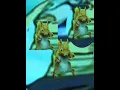 Squirrel dance greenscreen background