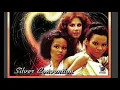 Silver Connection - Fly Robin Fly - Miss Disco Edit