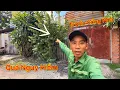 Download Lagu TIN VUI NGHỀ MƯU SINH HÔM NAY VÔ MÁNH GẶP CĂN NHÀ NGUY HIỂM ĐANG RÌNH RẬP TRƯỚC CỔNG