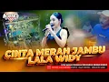 Download Lagu CINTA MERAH JAMBU LALA WIDY  AGENG MUSIC LIVE HALAL BIHALAL KELUARGA BESAR ROBOT