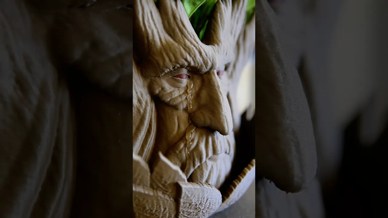 Forest Elder Planter video thumbnail