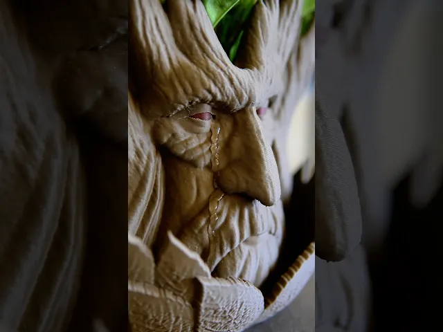Forest Elder Planter video thumbnail
