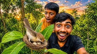 আজ দেখলাম টুনটুনি পাখির বাসা !! Tuntuni pakhir bashay dim!!